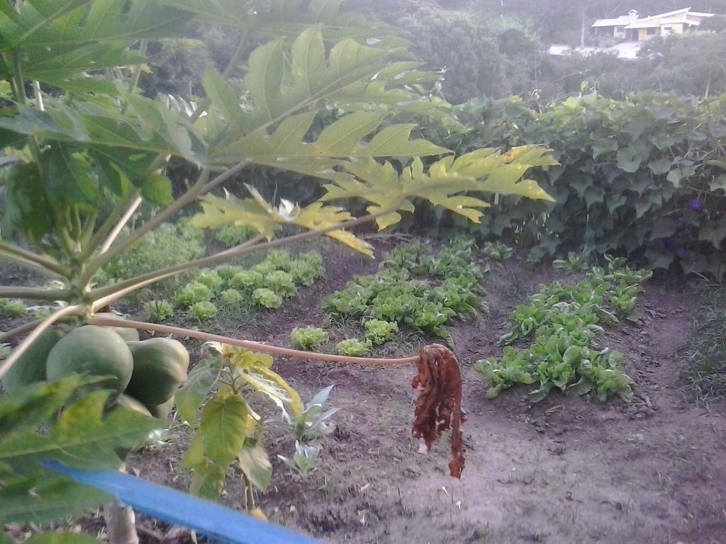 Pousada Complexo Cantagalo São Tomé das Letras Eksteriør bilde